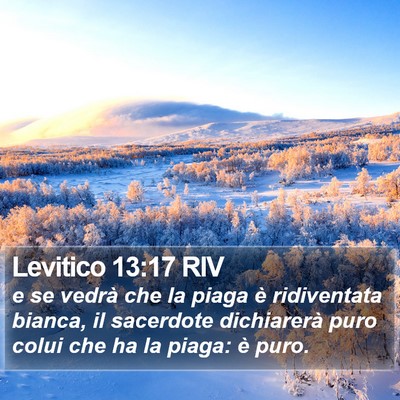 Levitico 13:17 RIV Bible Verse Image