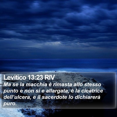 Levitico 13:23 RIV Bible Verse Image