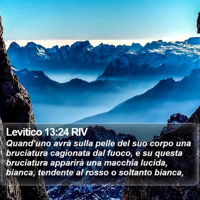 Levitico 13:24 RIV Bible Verse Image