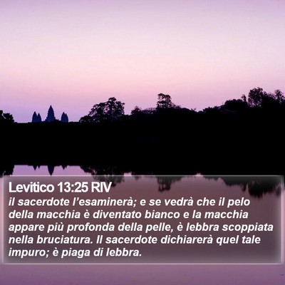Levitico 13:25 RIV Bible Verse Image