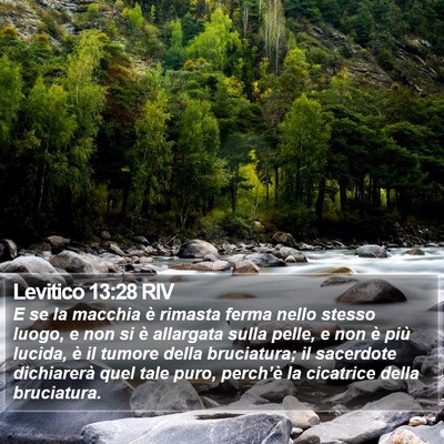 Levitico 13:28 RIV Bible Verse Image