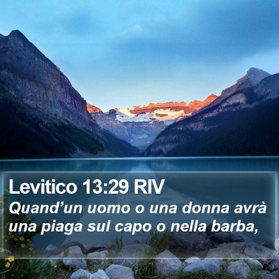 Levitico 13:29 RIV Bible Verse Image