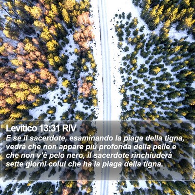 Levitico 13:31 RIV Bible Verse Image