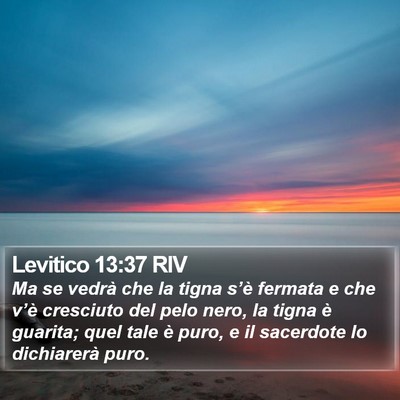 Levitico 13:37 RIV Bible Verse Image