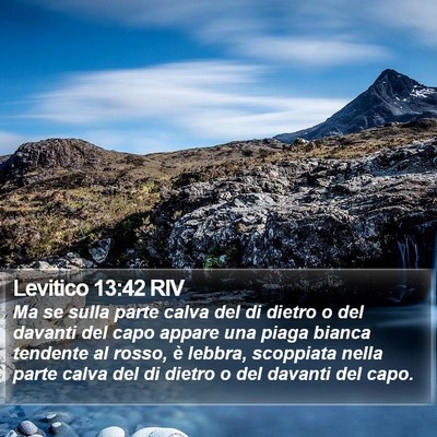 Levitico 13:42 RIV Bible Verse Image