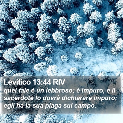 Levitico 13:44 RIV Bible Verse Image