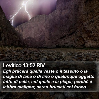Levitico 13:52 RIV Bible Verse Image