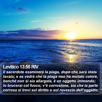 Levitico 13:55 RIV Bible Verse Image