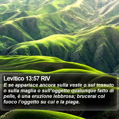 Levitico 13:57 RIV Bible Verse Image