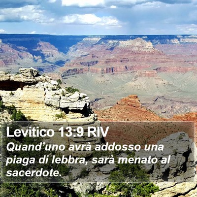 Levitico 13:9 RIV Bible Verse Image