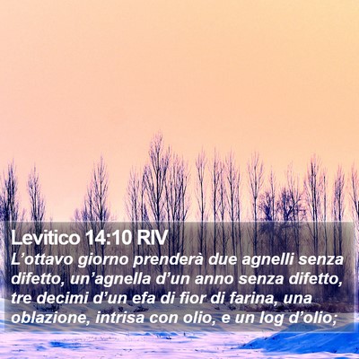 Levitico 14:10 RIV Bible Verse Image
