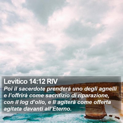 Levitico 14:12 RIV Bible Verse Image