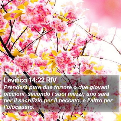 Levitico 14:22 RIV Bible Verse Image