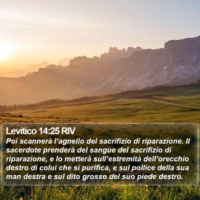Levitico 14:25 RIV Bible Verse Image