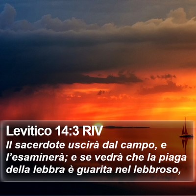 Levitico 14:3 RIV Bible Verse Image