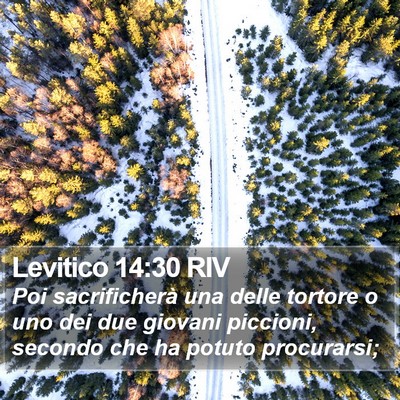 Levitico 14:30 RIV Bible Verse Image