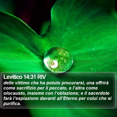 Levitico 14:31 RIV Bible Verse Image