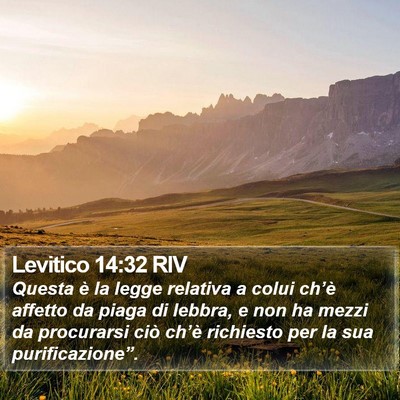 Levitico 14:32 RIV Bible Verse Image