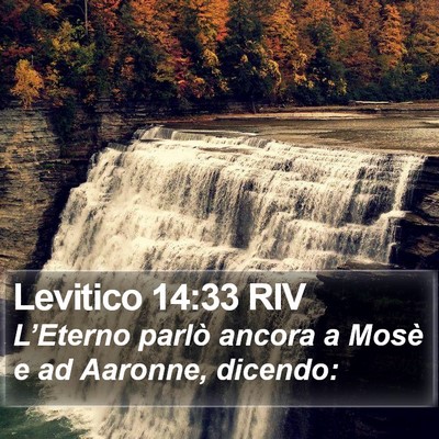 Levitico 14:33 RIV Bible Verse Image