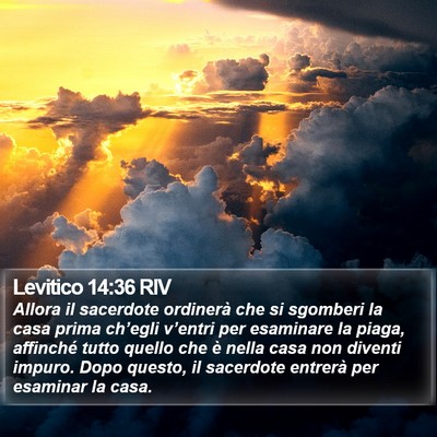 Levitico 14:36 RIV Bible Verse Image