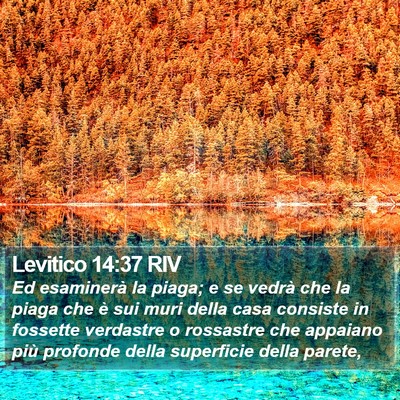 Levitico 14:37 RIV Bible Verse Image