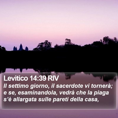 Levitico 14:39 RIV Bible Verse Image