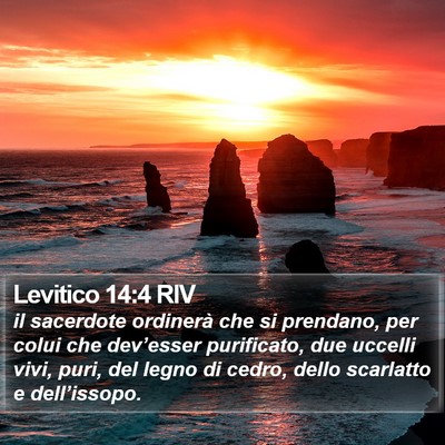 Levitico 14:4 RIV Bible Verse Image