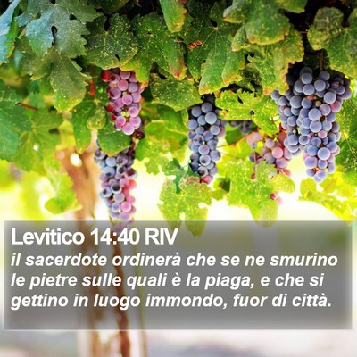 Levitico 14:40 RIV Bible Verse Image