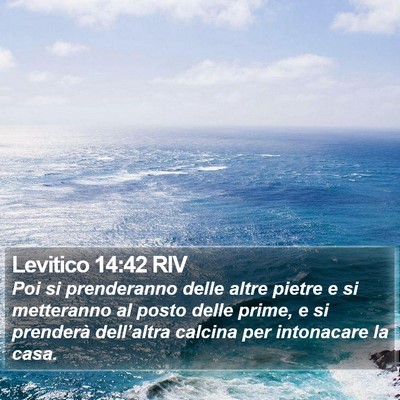 Levitico 14:42 RIV Bible Verse Image