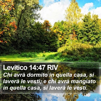 Levitico 14:47 RIV Bible Verse Image