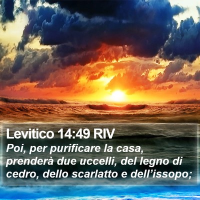 Levitico 14:49 RIV Bible Verse Image