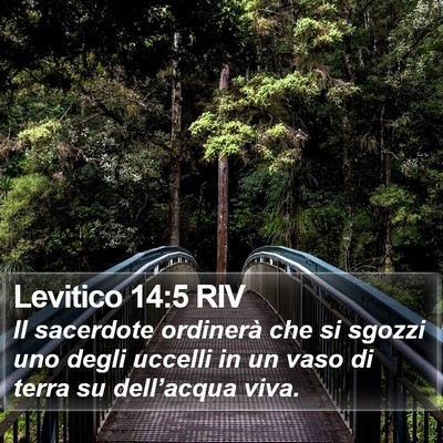 Levitico 14:5 RIV Bible Verse Image