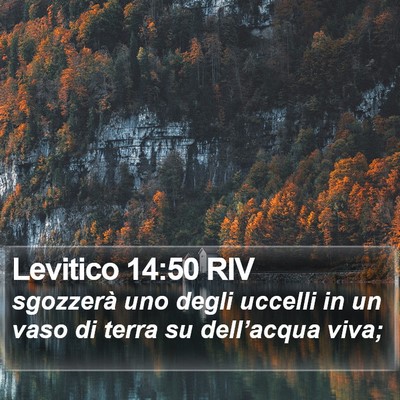 Levitico 14:50 RIV Bible Verse Image