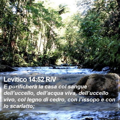 Levitico 14:52 RIV Bible Verse Image
