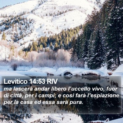 Levitico 14:53 RIV Bible Verse Image