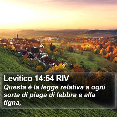 Levitico 14:54 RIV Bible Verse Image