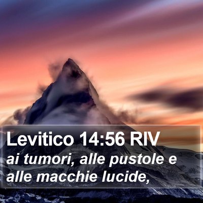 Levitico 14:56 RIV Bible Verse Image