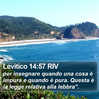 Levitico 14:57 RIV Bible Verse Image