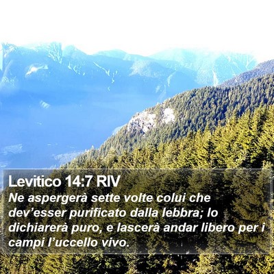Levitico 14:7 RIV Bible Verse Image