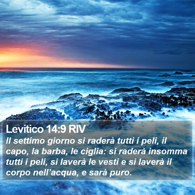 Levitico 14:9 RIV Bible Verse Image