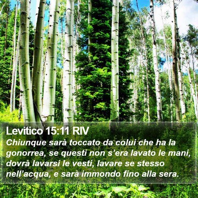 Levitico 15:11 RIV Bible Verse Image