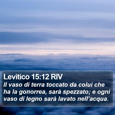 Levitico 15:12 RIV Bible Verse Image