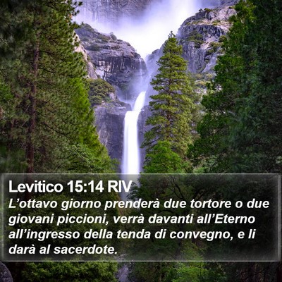 Levitico 15:14 RIV Bible Verse Image