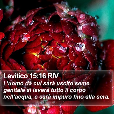 Levitico 15:16 RIV Bible Verse Image