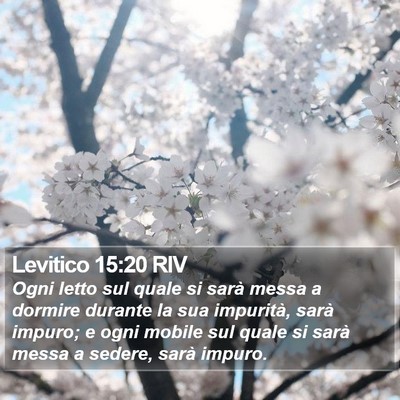 Levitico 15:20 RIV Bible Verse Image