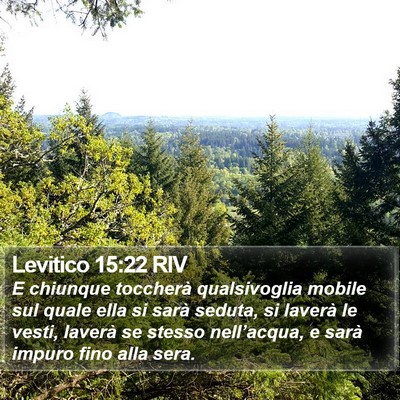 Levitico 15:22 RIV Bible Verse Image
