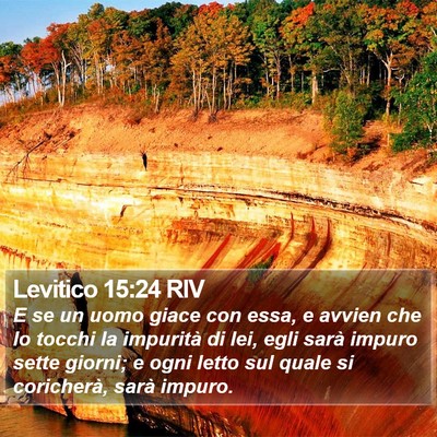 Levitico 15:24 RIV Bible Verse Image