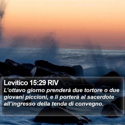 Levitico 15:29 RIV Bible Verse Image