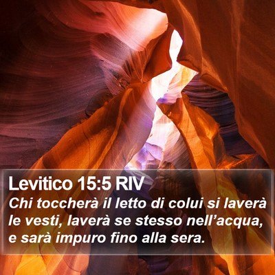 Levitico 15:5 RIV Bible Verse Image