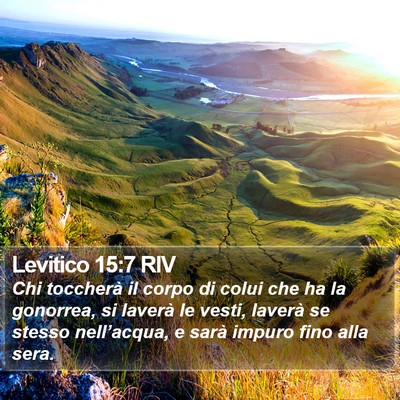 Levitico 15:7 RIV Bible Verse Image